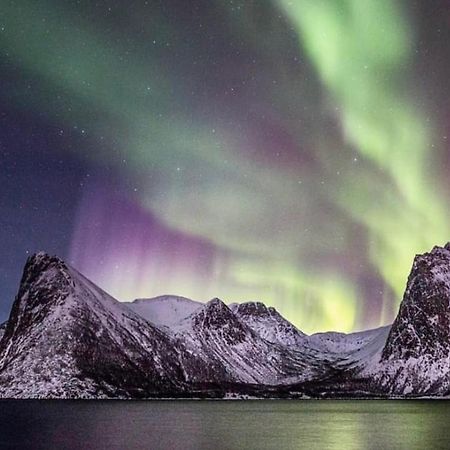 Senja Living Lejlighedshotel Stonglandseidet Eksteriør billede