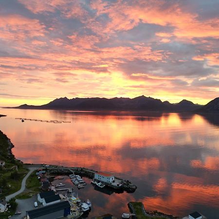 Senja Living Lejlighedshotel Stonglandseidet Eksteriør billede