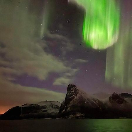 Senja Living Lejlighedshotel Stonglandseidet Eksteriør billede
