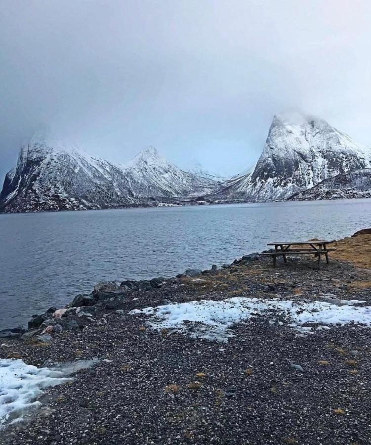 Senja Living Lejlighedshotel Stonglandseidet Eksteriør billede