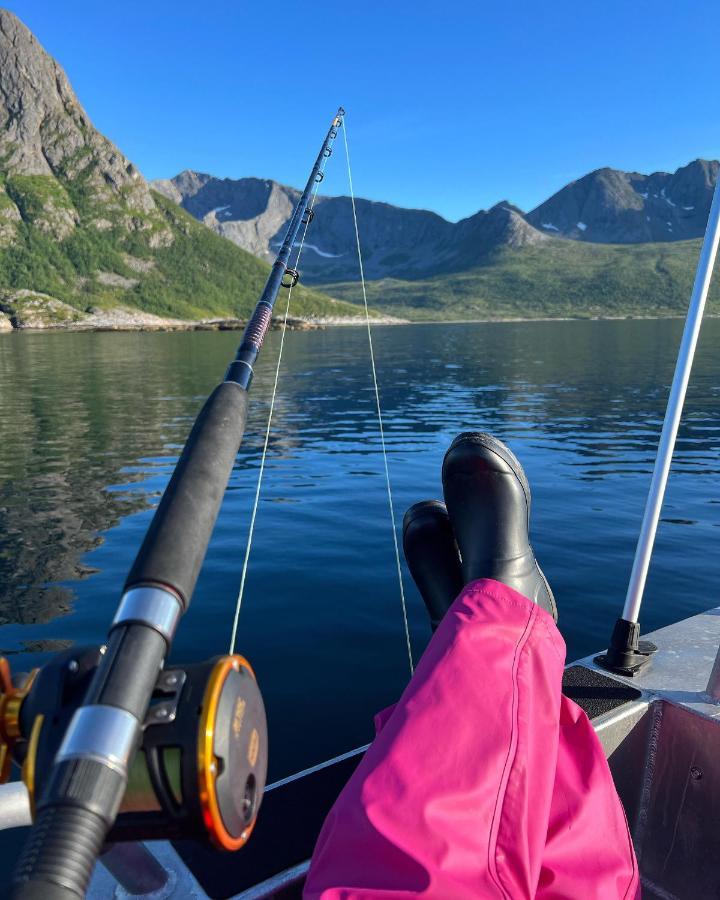 Senja Living Lejlighedshotel Stonglandseidet Eksteriør billede