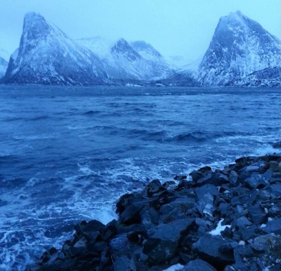 Senja Living Lejlighedshotel Stonglandseidet Eksteriør billede