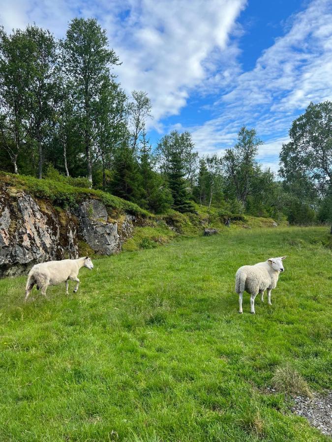 Senja Living Lejlighedshotel Stonglandseidet Eksteriør billede