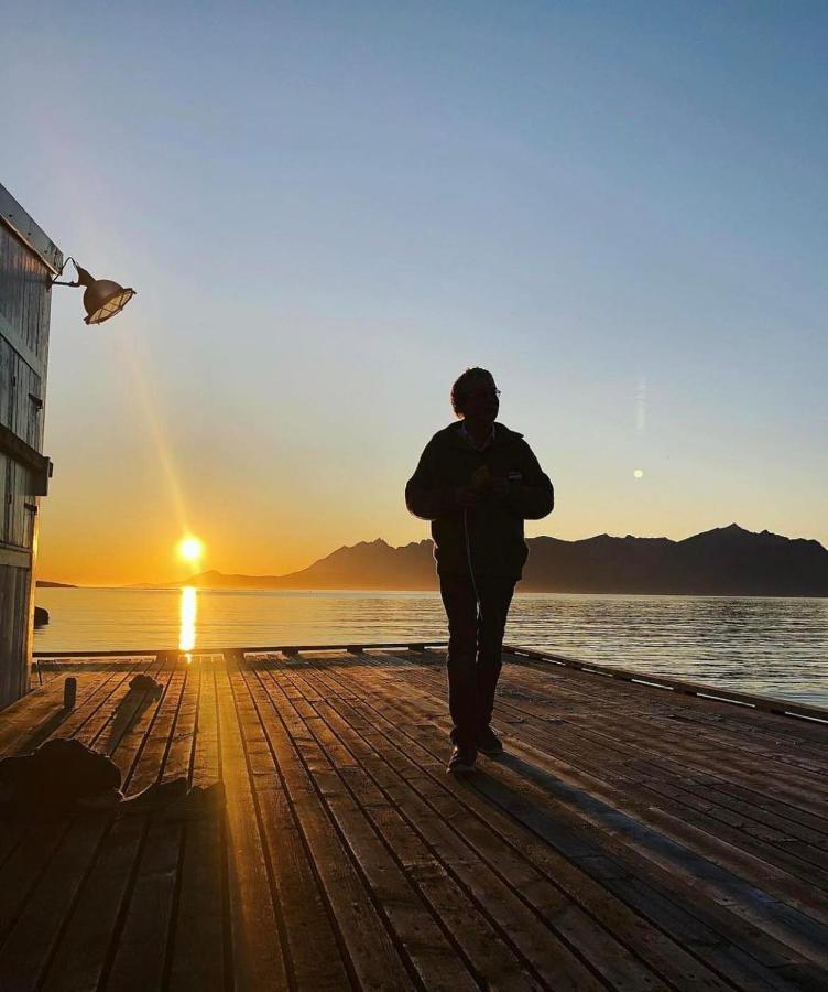 Senja Living Lejlighedshotel Stonglandseidet Eksteriør billede