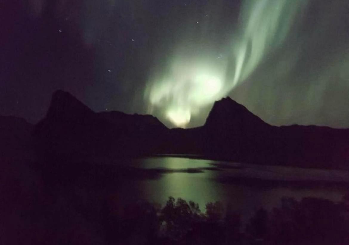 Senja Living Lejlighedshotel Stonglandseidet Eksteriør billede