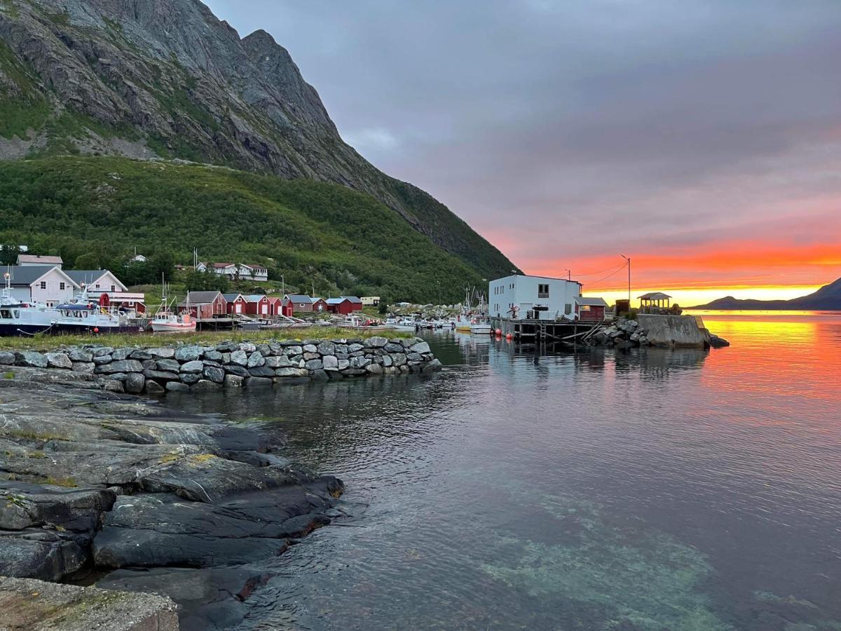 Senja Living Lejlighedshotel Stonglandseidet Eksteriør billede