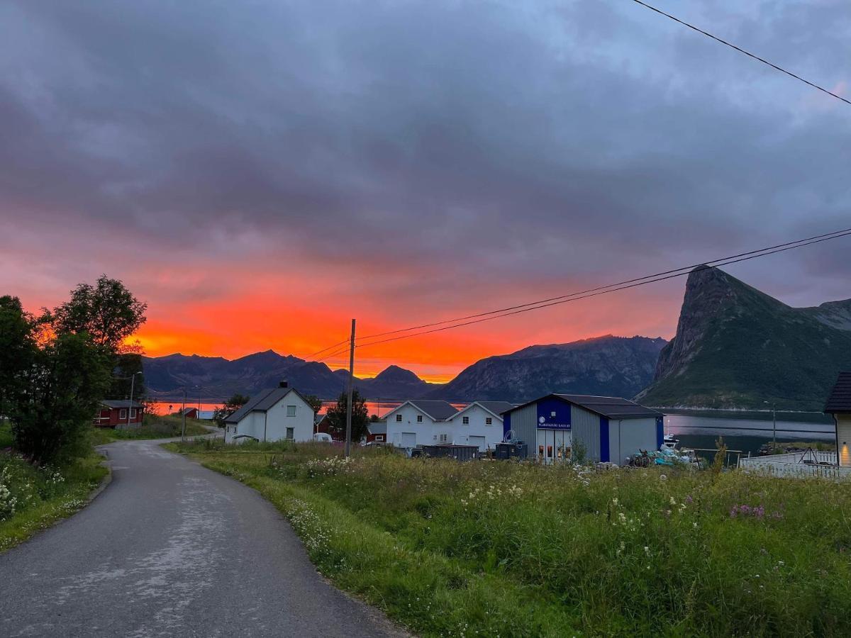 Senja Living Lejlighedshotel Stonglandseidet Eksteriør billede