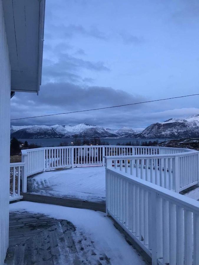 Senja Living Lejlighedshotel Stonglandseidet Eksteriør billede