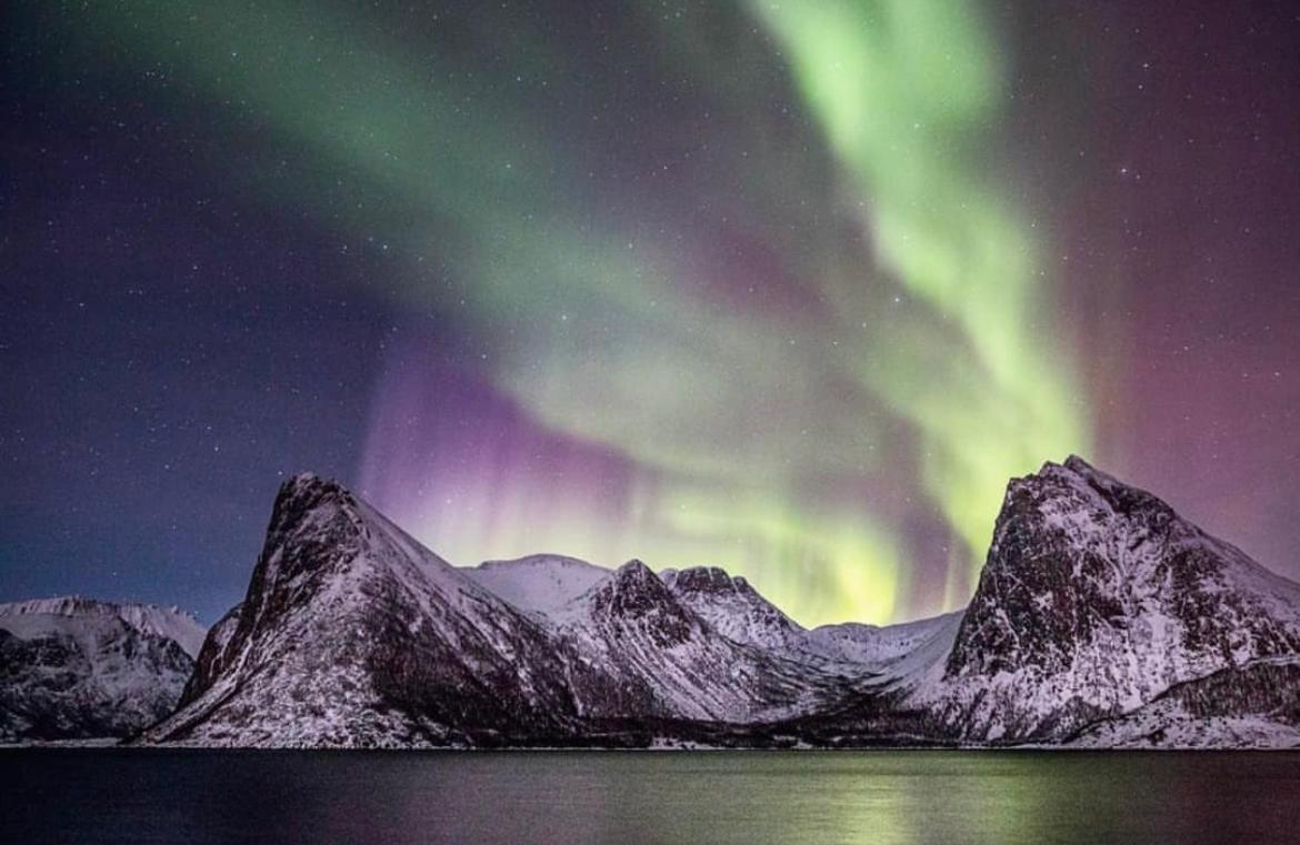 Senja Living Lejlighedshotel Stonglandseidet Eksteriør billede
