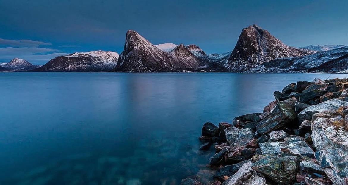 Senja Living Lejlighedshotel Stonglandseidet Eksteriør billede
