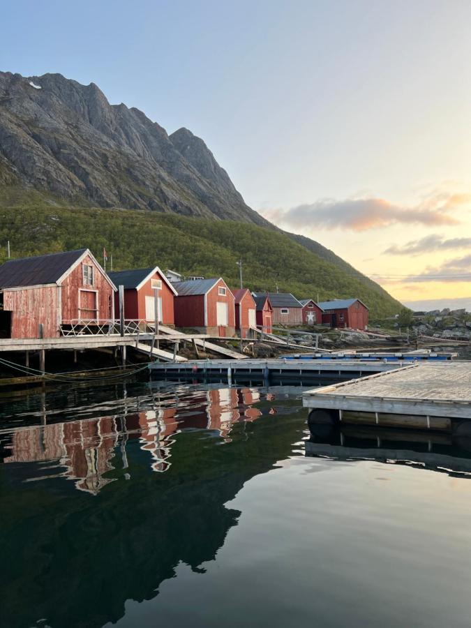 Senja Living Lejlighedshotel Stonglandseidet Eksteriør billede