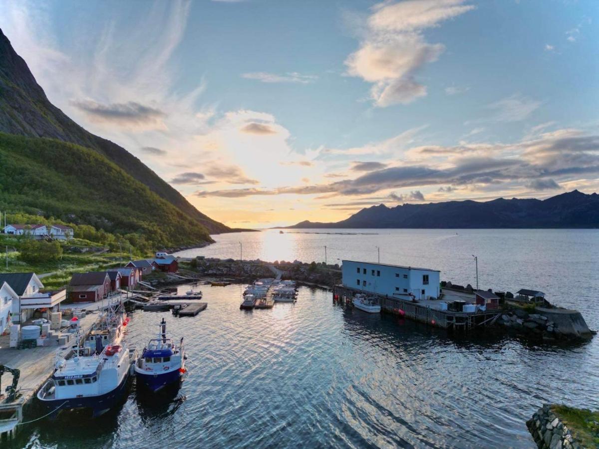 Senja Living Lejlighedshotel Stonglandseidet Eksteriør billede