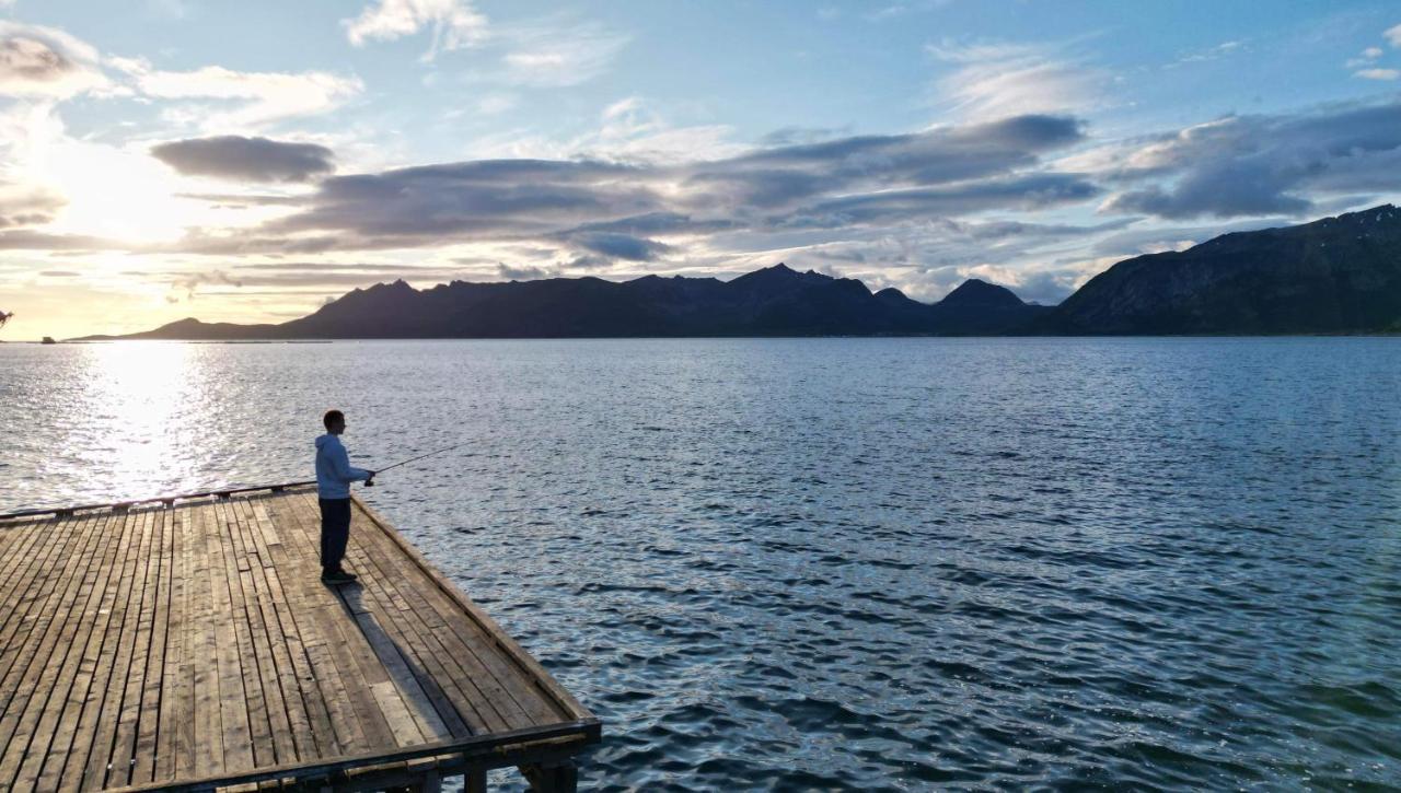 Senja Living Lejlighedshotel Stonglandseidet Eksteriør billede