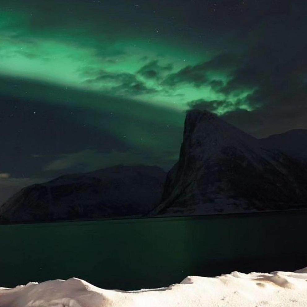 Senja Living Lejlighedshotel Stonglandseidet Eksteriør billede