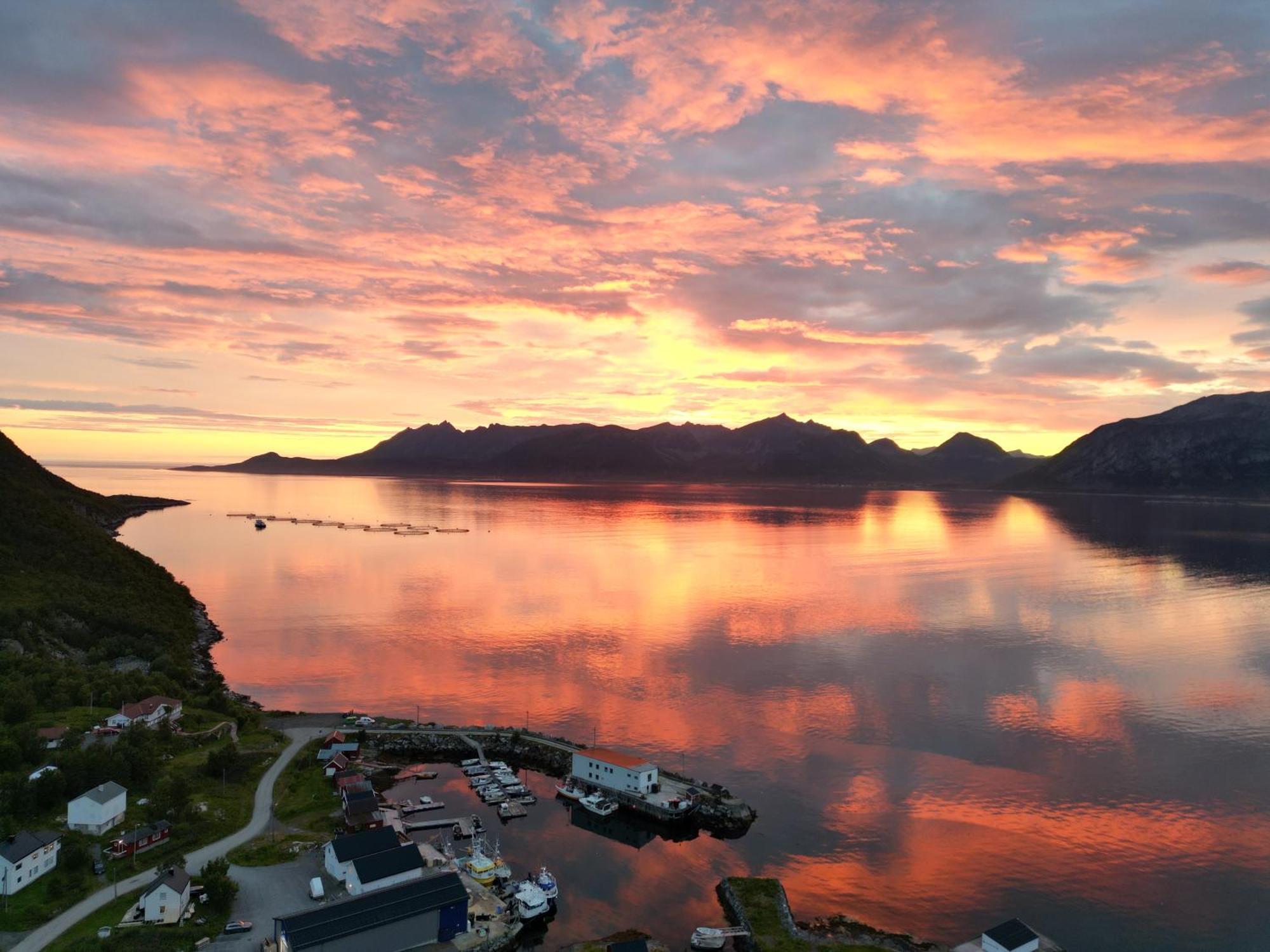 Senja Living Lejlighedshotel Stonglandseidet Eksteriør billede