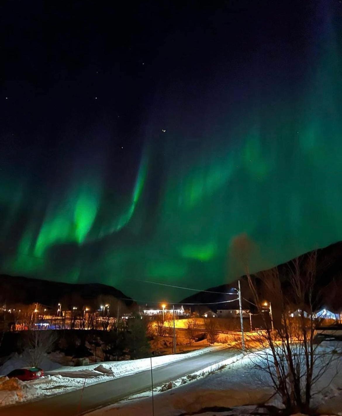 Senja Living Lejlighedshotel Stonglandseidet Eksteriør billede