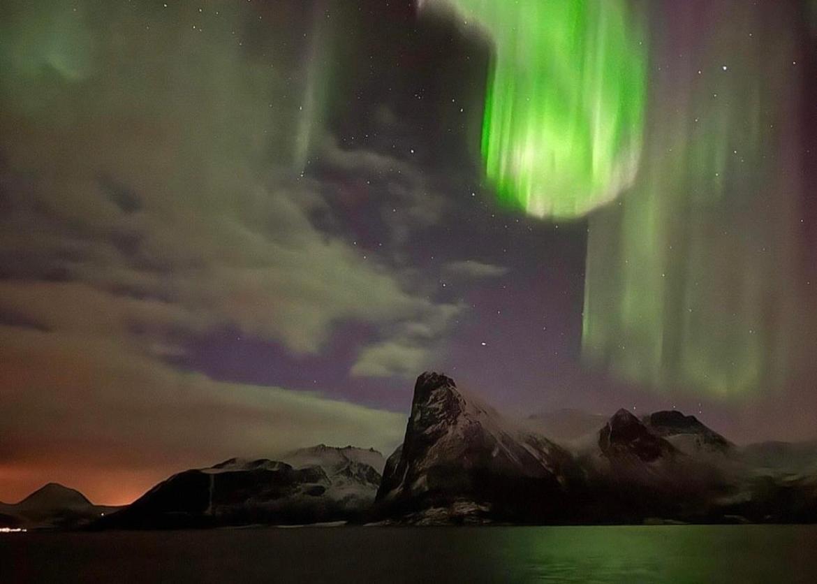 Senja Living Lejlighedshotel Stonglandseidet Eksteriør billede